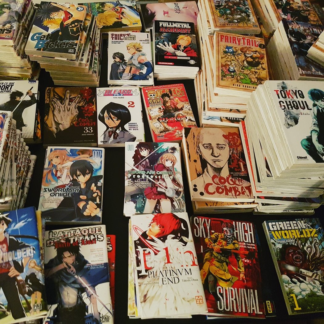 Bazar du manga - librairie Saint Maur 1